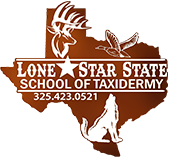 Lone Star State School Of Taxidermy